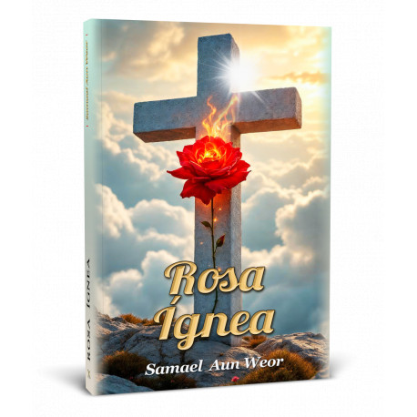 Rosa Ígnea