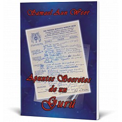 Apuntes Secretos de un Gurú