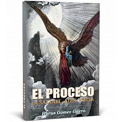 El Proceso